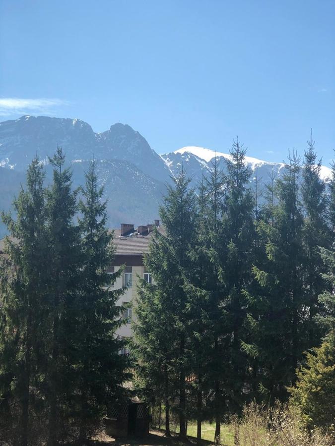 Vektron Apartment Zakopane Bagian luar foto